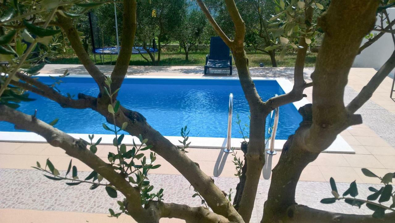 Olive Oasis With Private Pool Сукошан Екстер'єр фото